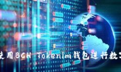 如何安全使用BCH Tokenim钱包进行数字货币交易