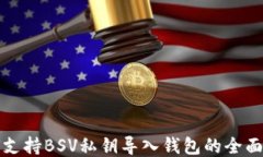 如何支持BSV私钥导入钱包