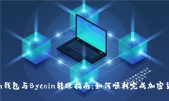 Tokenim钱包与Bycoin转账指南