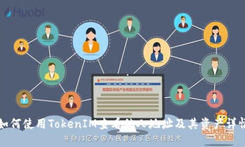 如何使用TokenIM查看他人地址及其资产详情